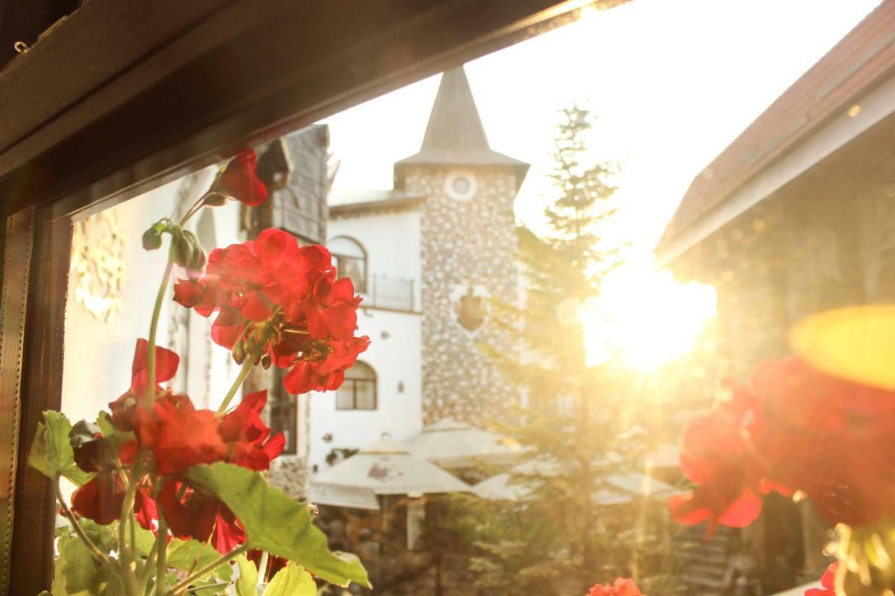 Hunter Prince Castle Hotel Турда Экстерьер фото